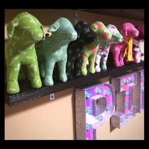 My Pelatonia Collection